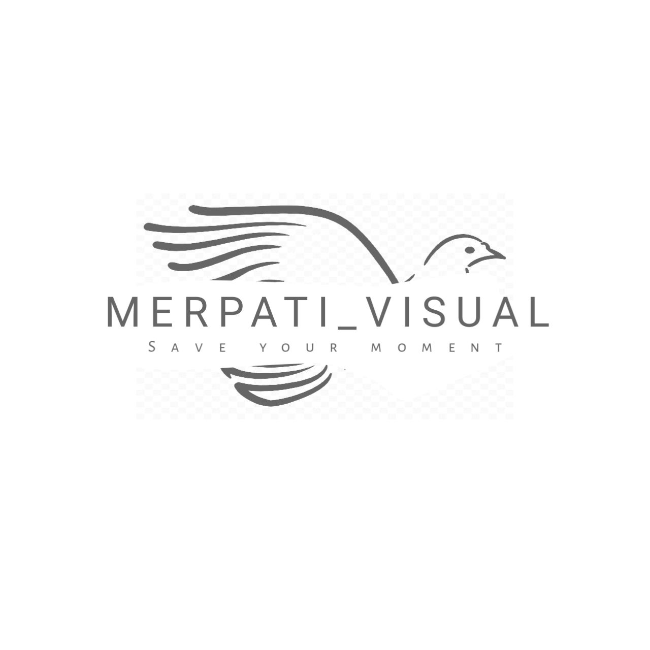 Logo Merpati Visual
