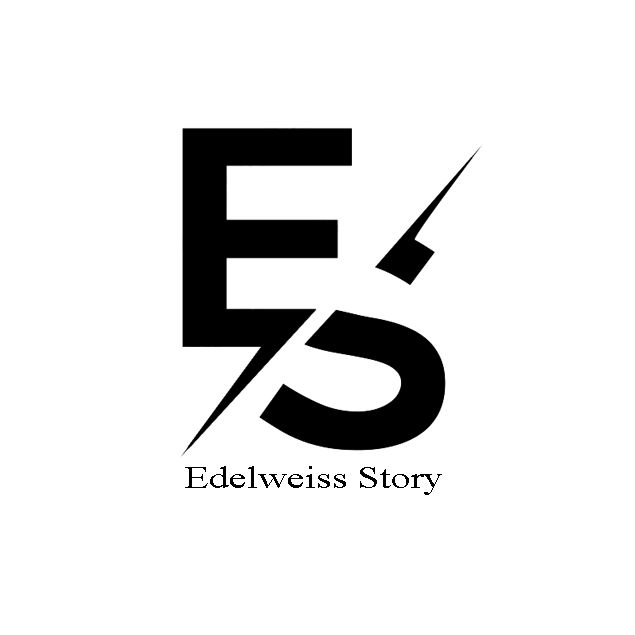 Logo Edelweiss Story