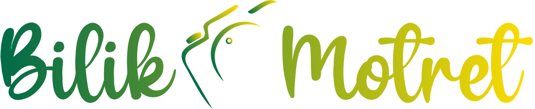 Logo Bilik Motret