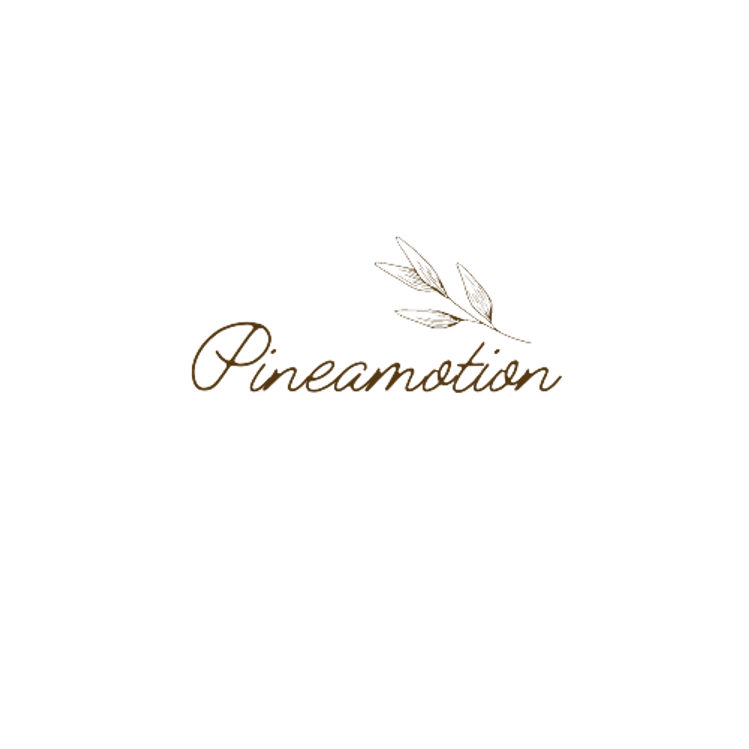 Logo Pineamotion