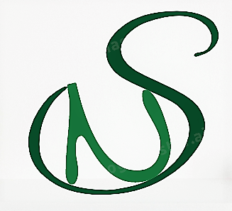 Logo Suira2105